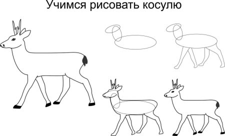 Рисование оленя пошагово