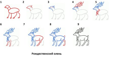 Лань рисунок поэтапно