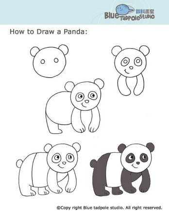 Roll and draw a Panda