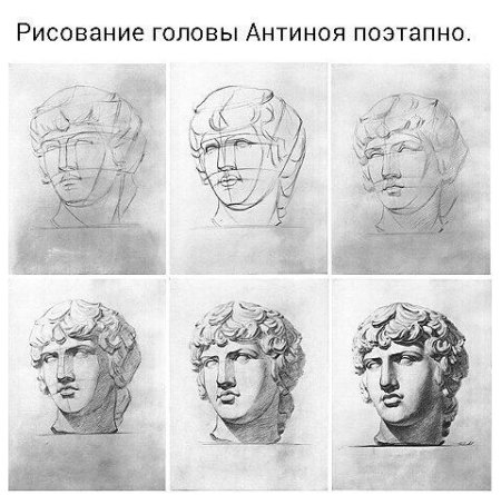 Рисование гипсовой головы Антиноя