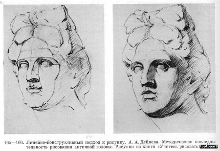 Линейно-конструктивный рисунок головы