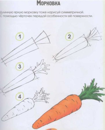 Поэтапное рисование овощей