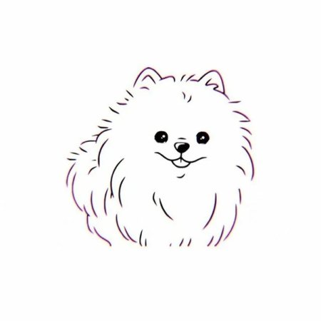 Контур померанского шпица