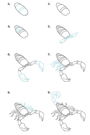 Скорпион рисунок карандашом
