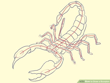 Рисунок скорпиона пошагово