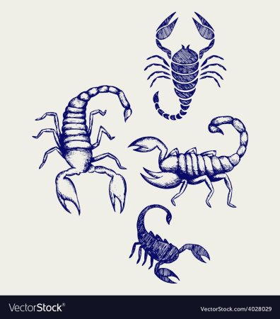 Скорпион для срисовки