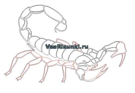 Скорпион раскраска для детей