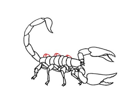Рисунок скорпиона легко - легко - легко - легко
