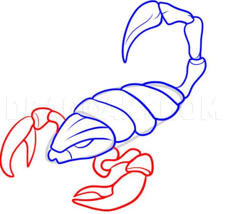 Скорпион для рисования