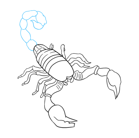 Как нарисовать скорпиона