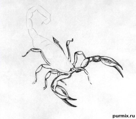 Как нарисовать скорпиона за 20 секунд