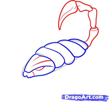 Рисунок скорпиона пошагово