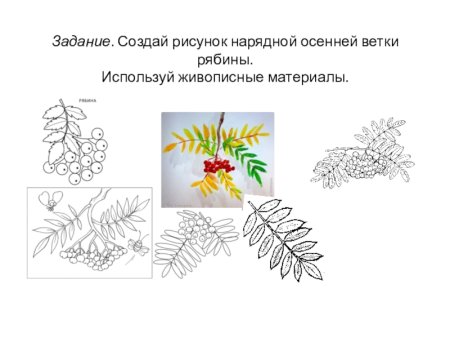 Веточка рябины