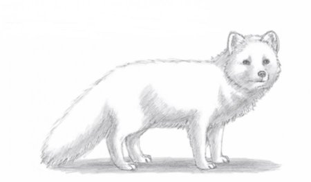 Рисунок легкий писец