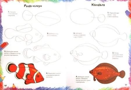 Этапы рисования рыбы
