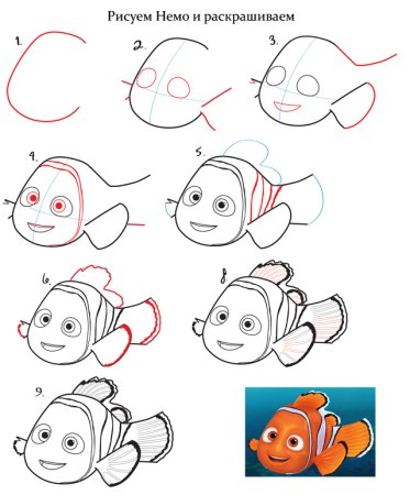 Рыба клоун рисунок