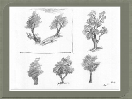 Деревья для рисования с натуры