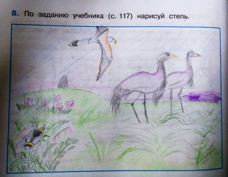 Зона степей рисунок