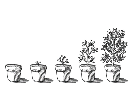 Растения в горшке чб для детей