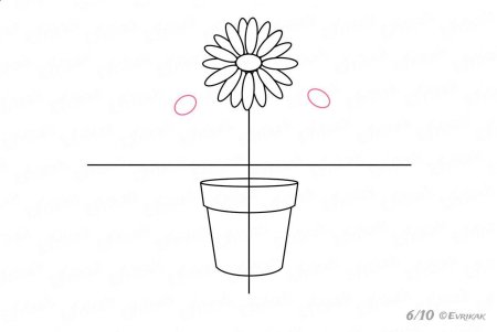 Поэтапное рисование комнатных растений