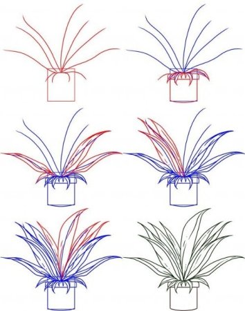 Рисование комнатные растения