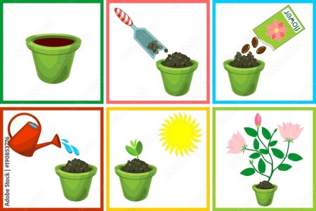 Алгоритм посадки растений