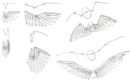 Крылья для рисования