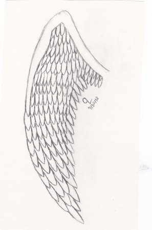 Крылья сбоку рисунок