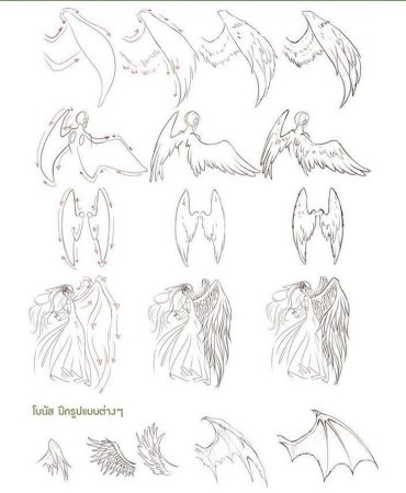 Сложенные Крылья