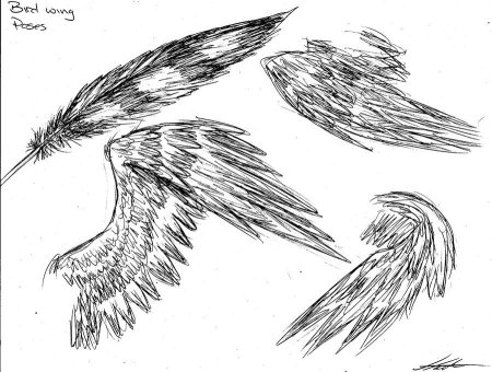 Крылья для рисования