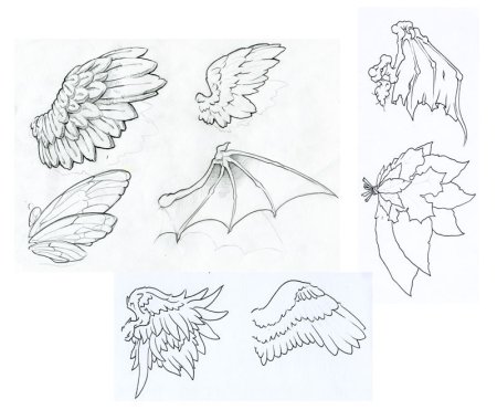 Крылья карандашом