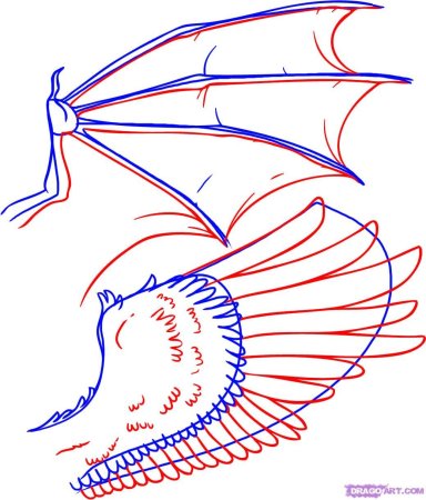 Крылья карандашом