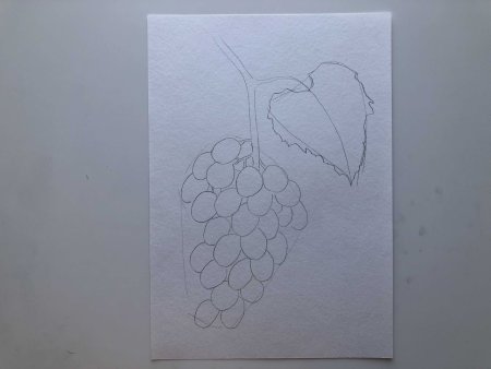 Рисуем виноград поэтапно