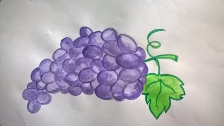 Поэтапное рисование винограда для детей