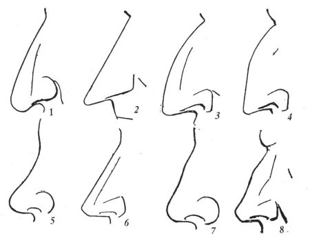 Референс Носов с горбинкой