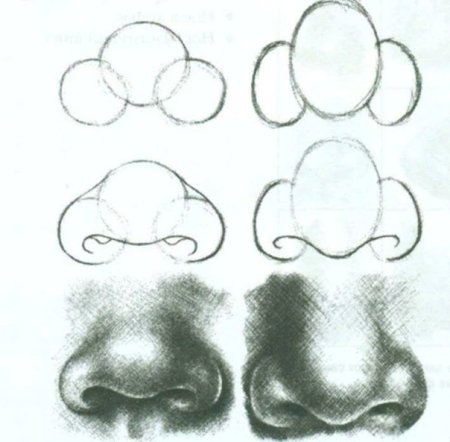 Поэтапное рисование носа