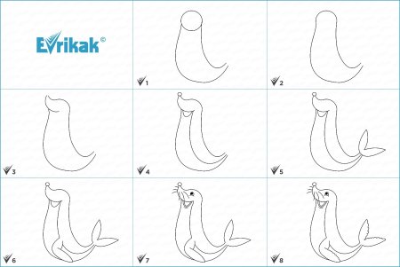 Как нарисовать тюленя карандашом поэтапно для детей