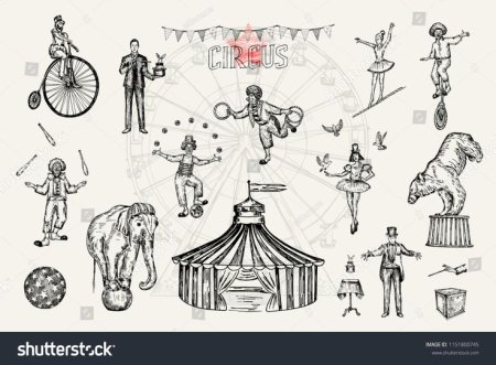 Цирковая собачка раскраска