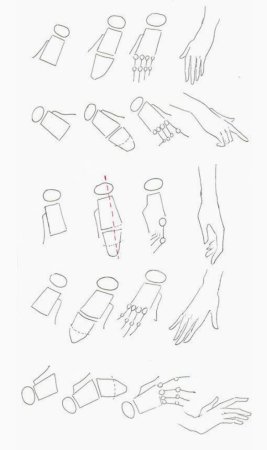 Поэтапный рисунок руки