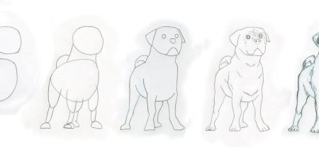 Поэтапное рисование МОПСА