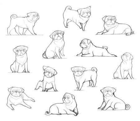 Мопс референс