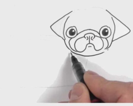 Мопс иллюстрация