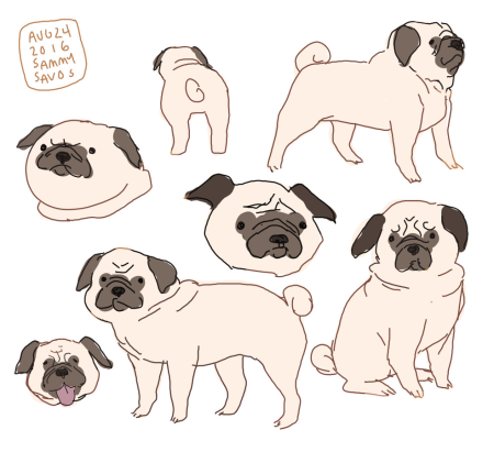 Рисунки хвостиков МОПСА