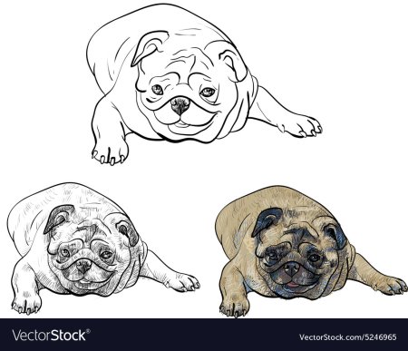 Мопс рисунок
