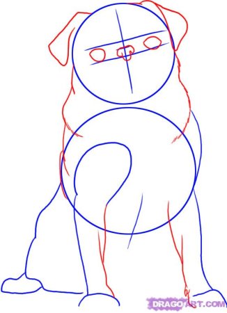 Рисунок собаки для срисовки