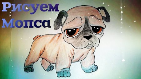 Мопс контур сбоку вектор