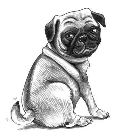 Рисунки хвостиков МОПСА