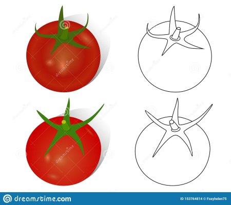 Рисование яблока 1 класс