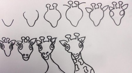 Алгоритм рисования жирафа