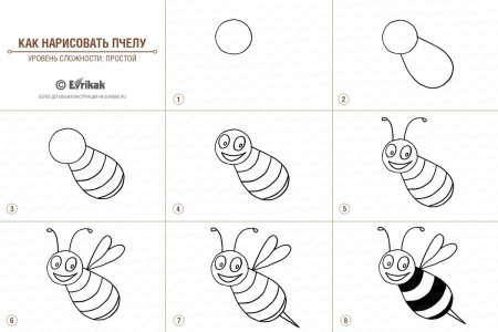 Поэтапное рисование пчелы для детей